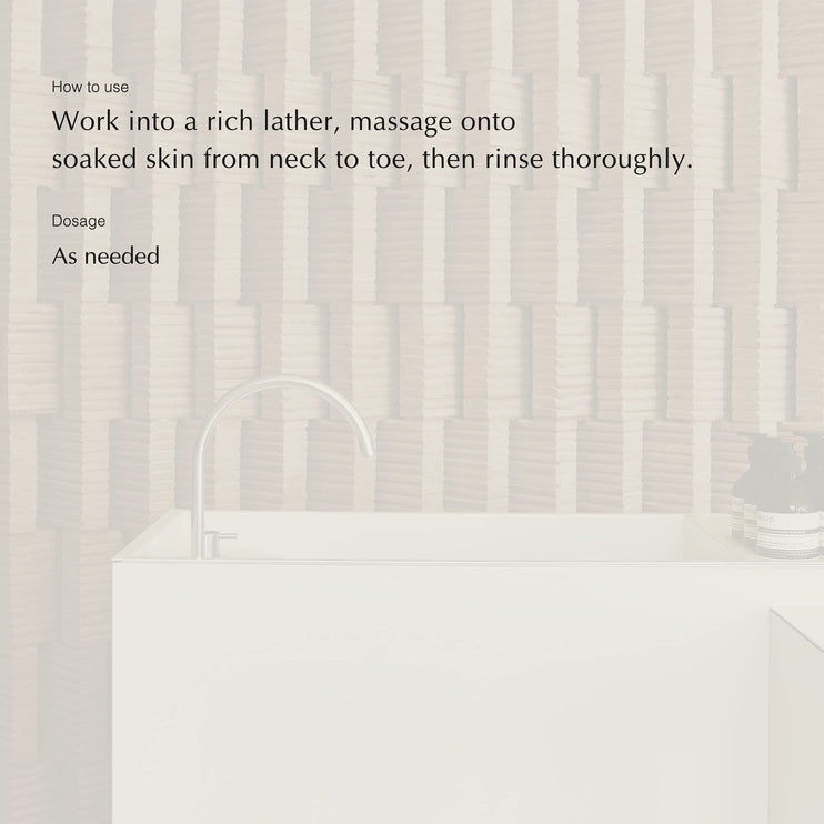 Aesop Body Cleansing Slab & SHOWER - The Essence Avenue